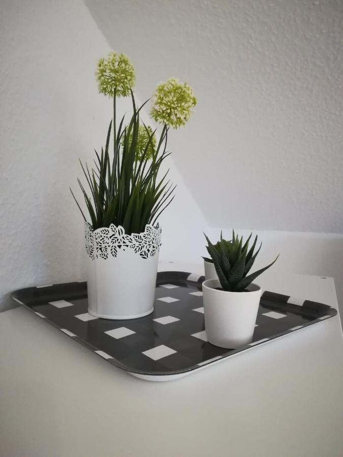 Ferienwohnung Bad Oldesloe Ngoại thất bức ảnh